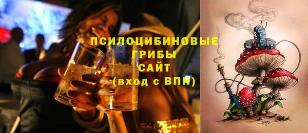 прущие крисы Алзамай