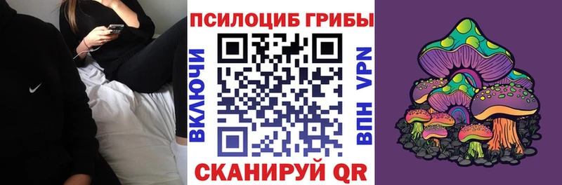 Псилоцибиновые грибы Cubensis  Урай 